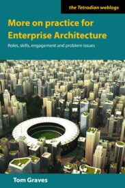 More on practice for Enterprise Architecture