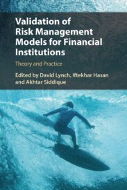 Validation of Risk Management Models for Financial Institutions, Theory and Practice