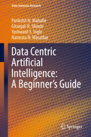 Data Centric Artificial Intelligence, A Beginner's Guide