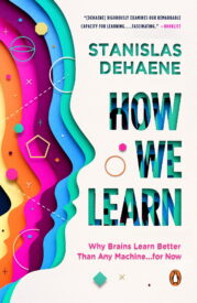 How We Learn, Why Brains Learn Better Than Any Machine for Now