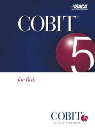 COBIT 5 for Risk
