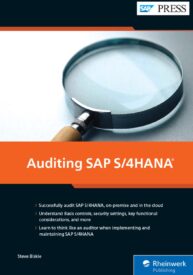 Auditing SAP S/4HANA