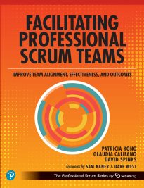 Facilitating Professional Scrum Teams