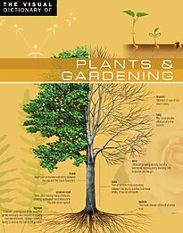 The Visual Dictionary of Plants & Gardening