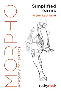 Morpho, Anatomy for Artists, Simplified Forms