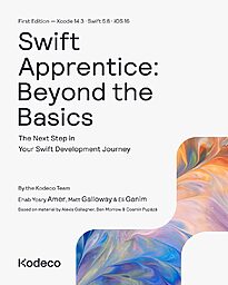 Swift Apprentice, Beyond the Basics