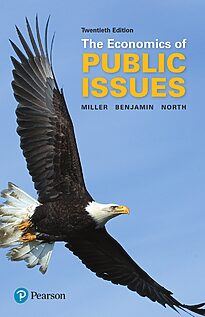 The Economics of Public Issues