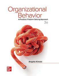 Organizational Behavior, A Practical, Problem-Solving Approach