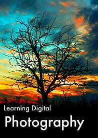Learning Digital Photography