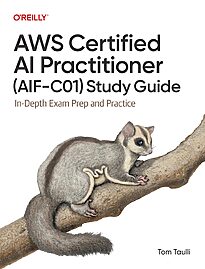 AWS Certified AI Practitioner Study Guide